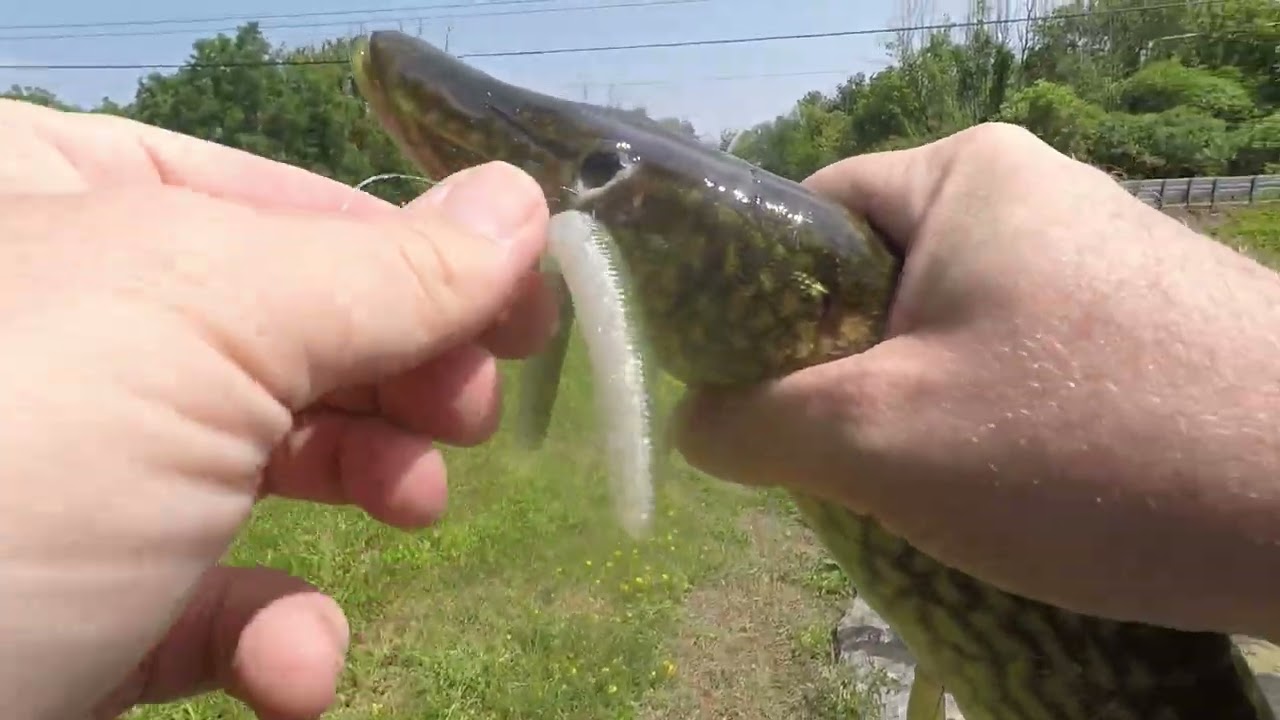 Dodging Storms and Catching Bass – Bank Fishing New York
