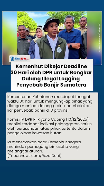 DPR Soroti Banjir Sumatera, Kemenhut Didesak Ungkap Dalang Illegal Logging dalam Tenggat 30 Hari