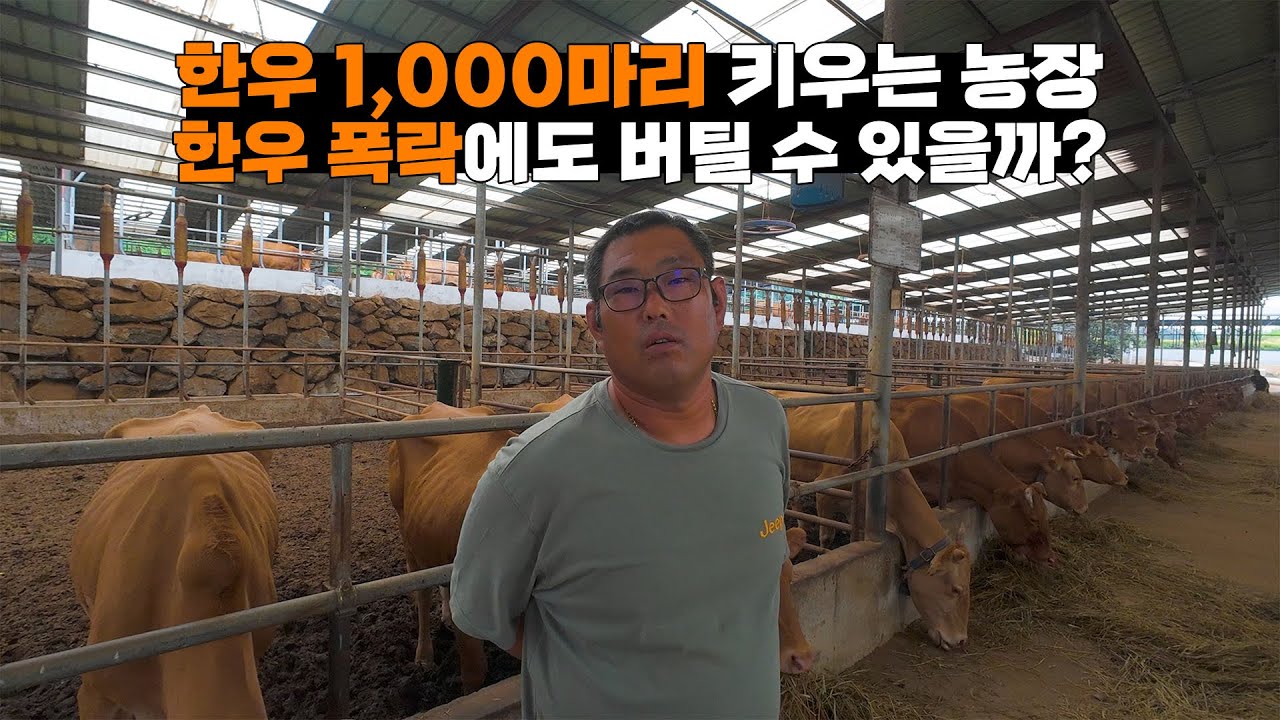 한우 폭락 후 2년뒤.. 저희는 소를 더 늘렸습니다