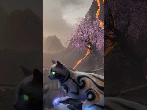 Meet the NEW Nekomancer Wonder Weapon! #shorts