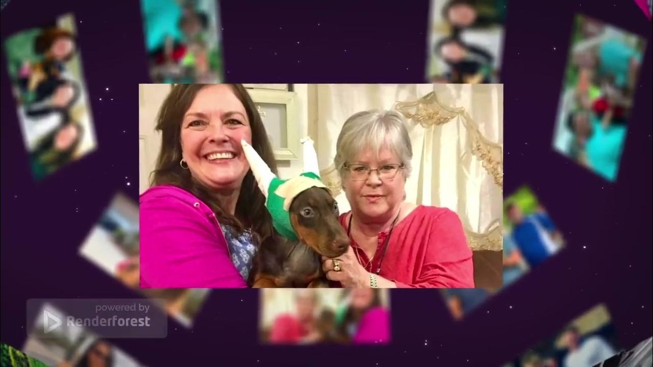 AKC & UKC Registered Doberman Pinscher Puppies Embark DNA