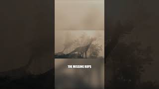 Zotac 5090 Issues???