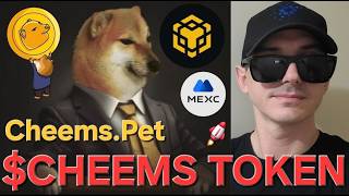 $CHEEMS - CHEEMS.PET TOKEN CRYPTO COIN HOW TO BUY CHEEMS BNB BSC BINANCE BLOCKCHAIN MEMECOIN DOGE