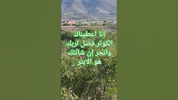 إنا اعطيناك الكوثر #القارئ #قرآن #اكسبلور #quran #yasseraldossary #ترند #لايك #راحة_نفسية #قران_كريم