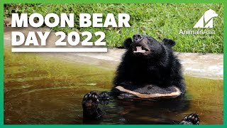 Moon Bear Day 2022