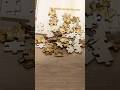 パズルやりたすぎて作っちゃった/I Wanted a Puzzle So Badly That… #shorts #p2s #xtool