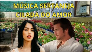 MÚSICA SERTANEJA - CILADA DO AMOR