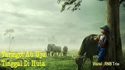 Taringat Au Uju Tinggal Di Huta (Cover Lyric) Vocal : RNB Trio  - Durasi: 4:28. 