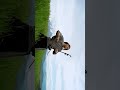 ASCENDING - (Relaxing Meditation Music) - Eliott Tordo Erhu 二胡 #music #relaxing #nature