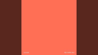 Dragonfly II - Goose