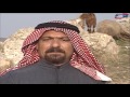 مسلسل اللغز البدوي ـ الحلقة 13 الثالثة عشر كاملة HD 