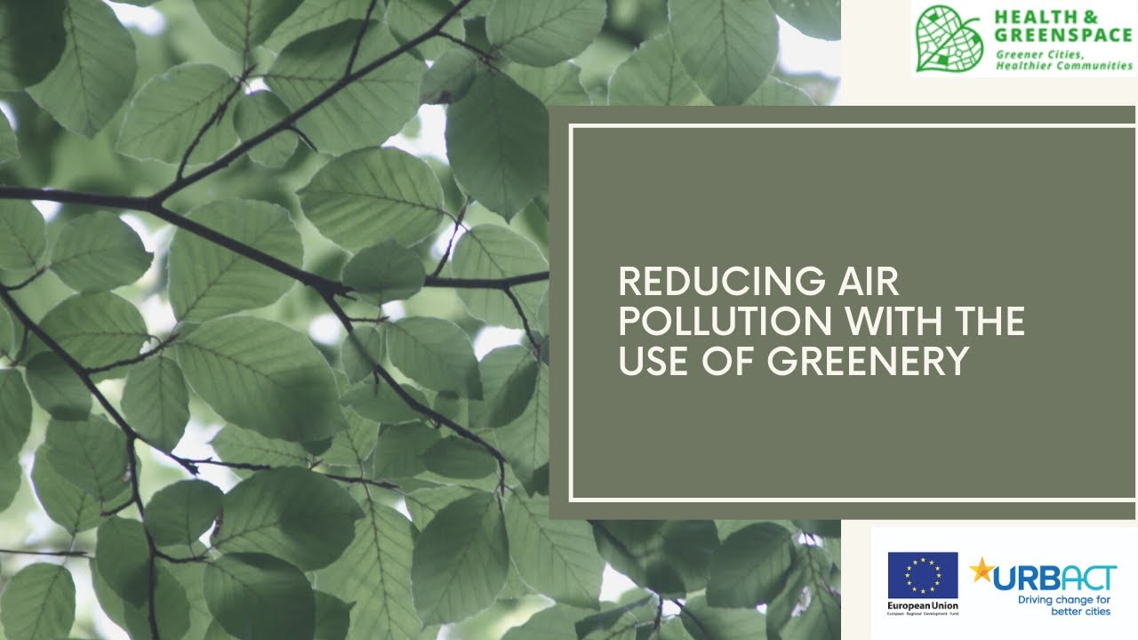 Reducing air pollution with the use of greenery - a general overview