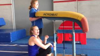 Information GM Acromat Vault Adjustment Guide