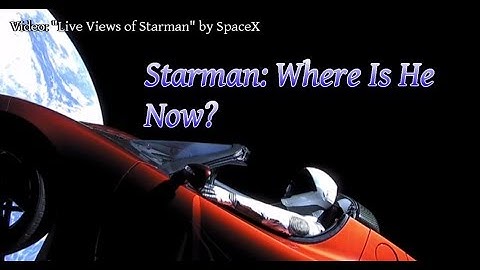 How to Track Elon