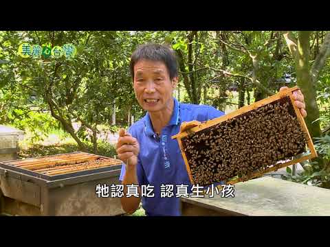 【新北三芝】全家總動員 多元經營創生機 | 有機無毒 | 231 | #美麗心台灣