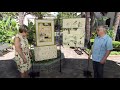 Original Comic Art Collection, ca. 1937 | McNay Art Museum, Hr 2 | ANTIQUES ROADSHOW | PBS