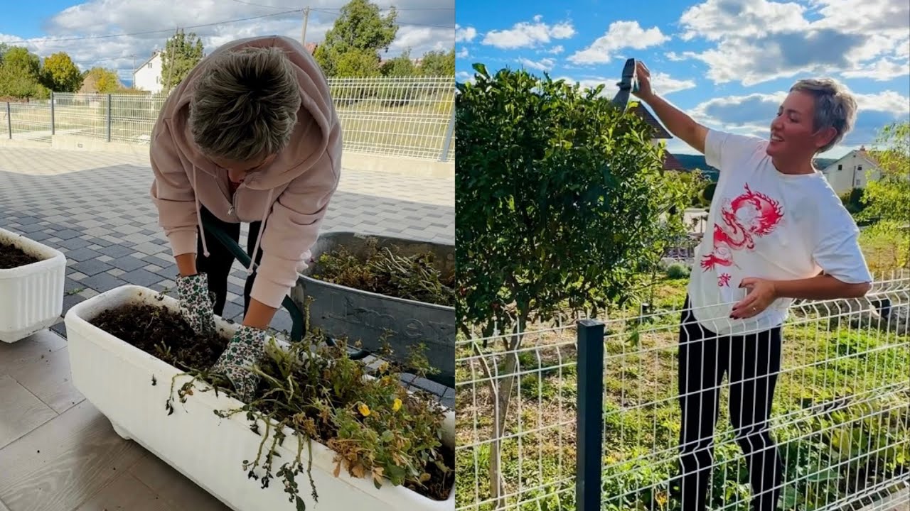 Projekt: Spasi trijem od jesenske depresije 😅🪴