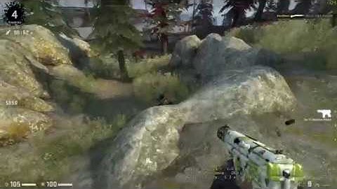 Bug Danger Zone CSGO