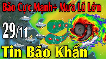Bão Cực Mạnh Mưa Lũ Lớn Tin Bão Khẩn | Dự báo thời tiết ngày 29/11 | thời tiết 15 ngày Tới
