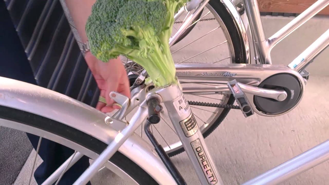 自転車のサドルにブロッコリーを挿してみた Youtube