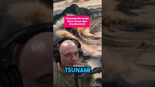 Tsunami Reveals Crazy Seacreatures