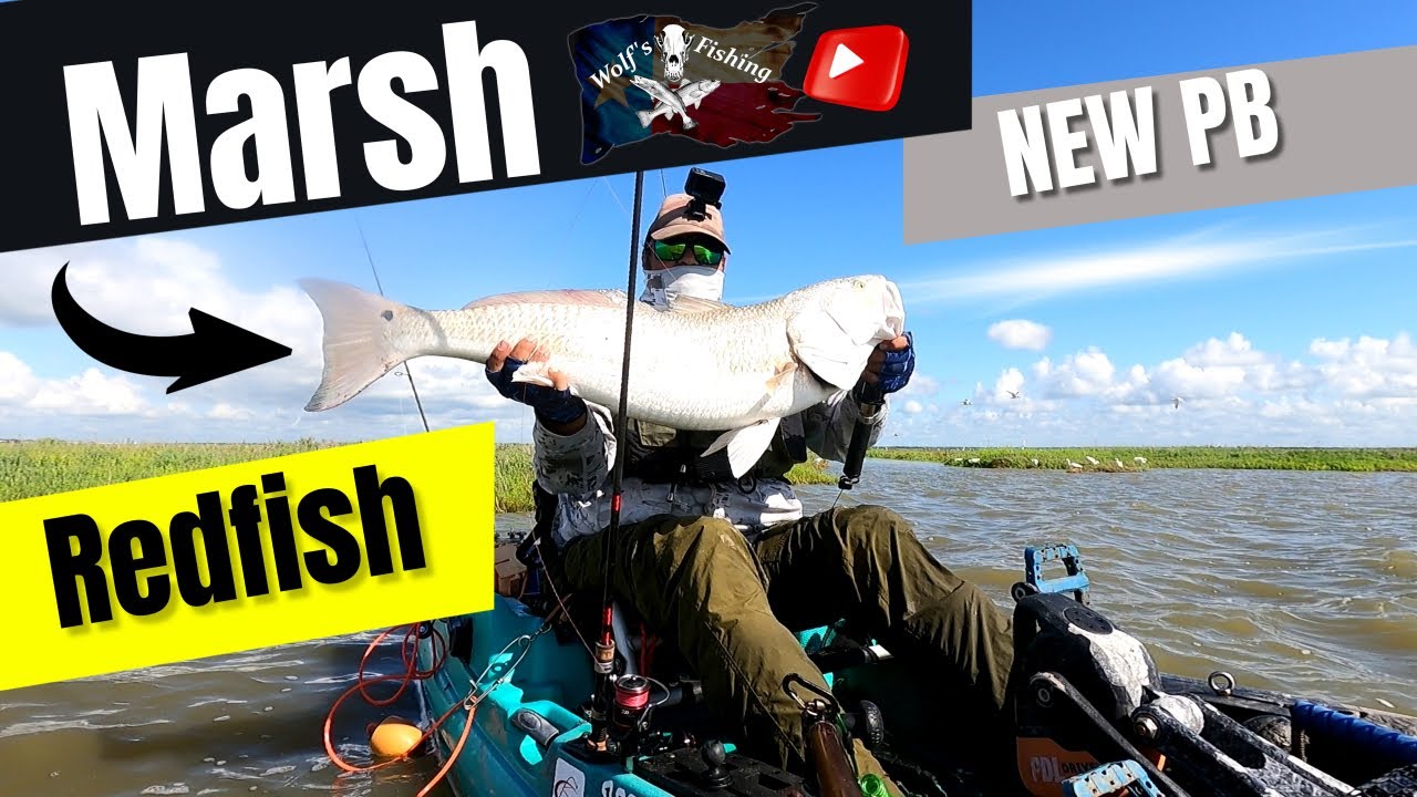 Marsh Red Fish, NEW PB , Wolf's Fishing Corpus Christi, Texas 2023 