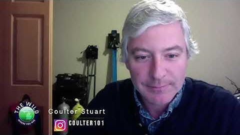 Chickadees Supercharged Memory