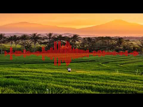 JAIPONGAN II ARTS FAMOUS SINDEN II \"STYLE\" II WITH EXCEPTIONAL IBING I (MITRA KADEUDEUH)