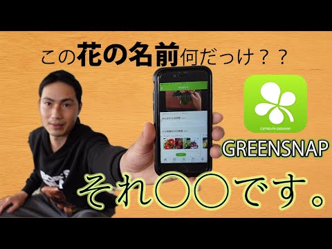 植物 の 名前