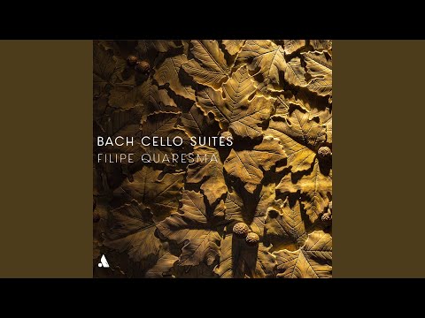 Cello Suite No 2 In D Minor Bwv 1008 I Prélude Cello Suite No 2 In D Minor Bwv 1008 I Prélude