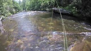 #27 Chattooga GA  Fishing the top 100 Trout Streams in America