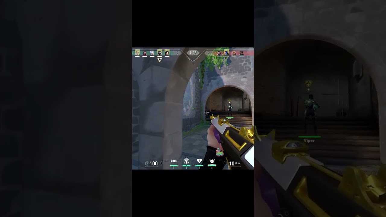 Sage on Guardian ACEsdfghjkl 