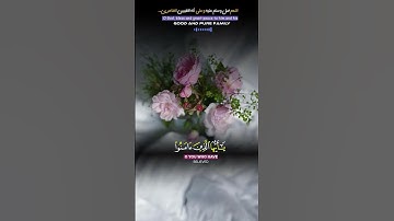 من يحب النبي يصل عليه 💬🍂 #اللهم_صل_وسلم_على_نبينا_محمد #تلاوة_خاشعة #يوم_الجمعة
