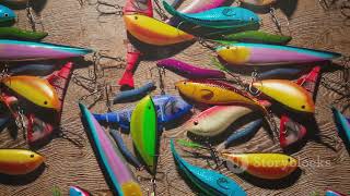 Mastering Redfish  A Comprehensive Guide 2023 12 19