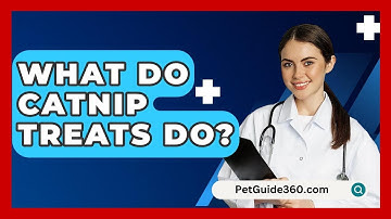 What Do Catnip Treats Do? - PetGuide360.com