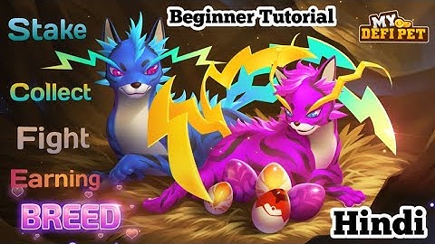 My DEFI PET Beginner Full Tutorial How To Earn