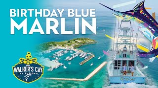 Walker's Cay Birthday Blue Marlin!