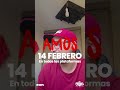 PANZERS AMOS 17 REACCIONES