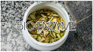 How to prepare Bio-Enzymes / Multi purpose Natural cleaner | Hedonist Pilla