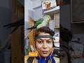 part4#sarswatipuja#minivlog