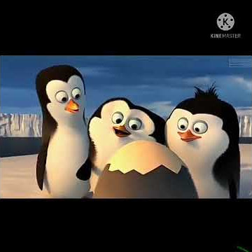 Apakah Isinya Bansos?[Meme PINGUIN Bandar bkp part 3]#meme