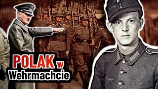 Polak W Służbie Hitlera. Niezwykła Historia Pana Henryka