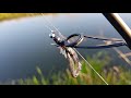 Micro Jigging Creature Baits Canal Style