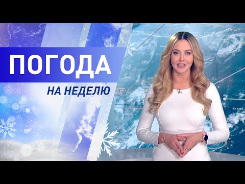 Wideo: Gdzie Znaleźć Prognozę Pogody W Moskwie?