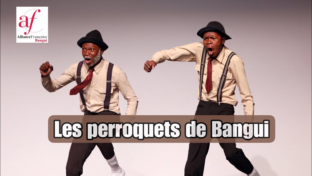 Les perroquets de Bangui