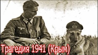 Катастрофа на Перекопе: Кузнецов против Манштейна  1941 год