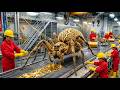 How 1 Million Spiders Made a $1,000,000 Golden Fabric
