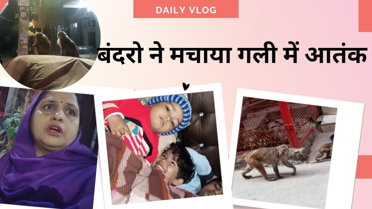 बंदरो ने मचाया गली में आतंक।