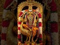 Murugan 🙏#god #love #devotionalsong #murugan #muruga #subramanyaswami #shorts #ytshorts #peddi