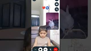 #cute #youtubeshorts #funny #cutebabyofficial #viral #cutebaby #bunnyofinstagram #videocallrecording